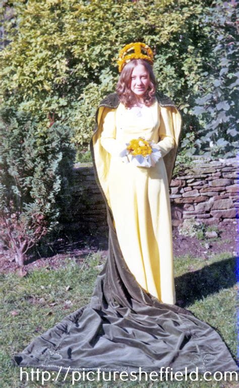 Searching Picture Sheffield