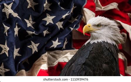 Symbol of America 的图像结果