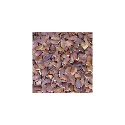 Buy Dayna SriSatymev Kadwe Badam 250g | Medicinal Sea Almond | Diabetes ...