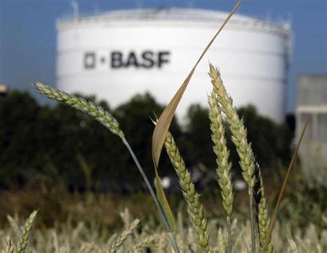 BASF: Zweitbestes Ergebnis im Segment Agrarlösungen | agrarheute.com