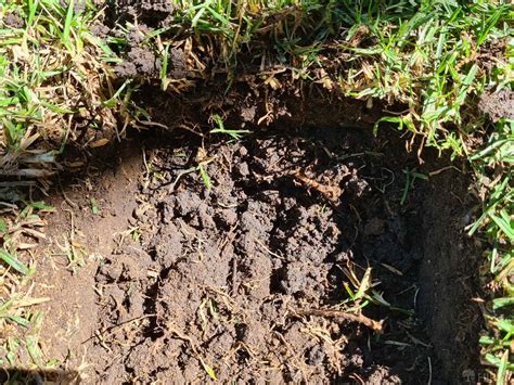 How to Permanently Remove Grass from Your Garden and Flower Beds