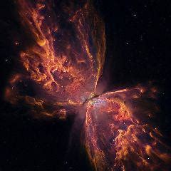 Mrugesh Rami (Mrugesh rami) Quotes | YourQuote