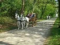 carrozze cavalli gita nel bosco con carrozze a cavalli www realfriuli it carrozze cavalli gita nel bosco con carrozze a cavalli www realfriuli it