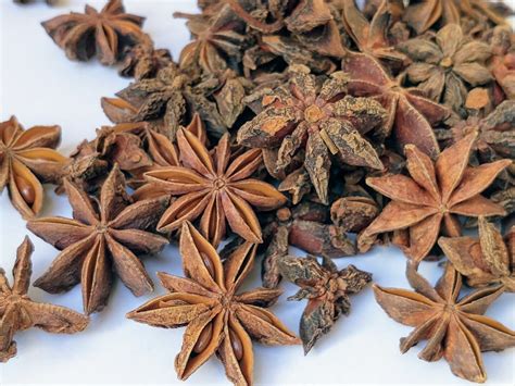 Star anise whole spice for craft - Daisyshop UK - Buy dried flowers