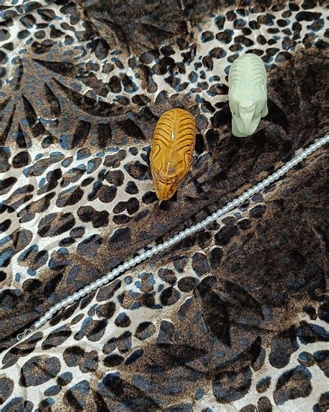 Printed Fabric | Velvet Fabric | Coffee | Balaji Cutpiece