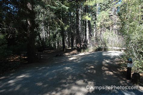 Image result for Stumpy Meadows Map