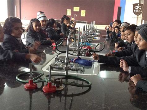 Photo gallery | MRG School