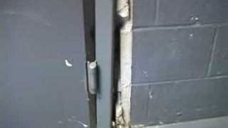 fabregas123: Whatcom County Jail Bookings