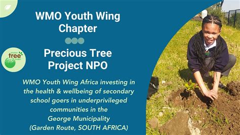 Image result for Tree-Planting Project for School