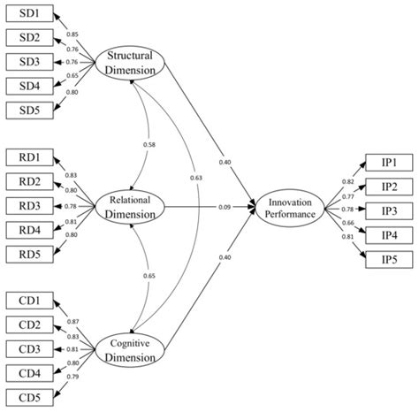 Understanding the Impact of Social Capital on the Innovation ...