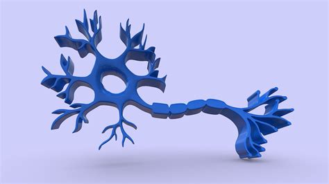 Neuron Model Project 的图像结果