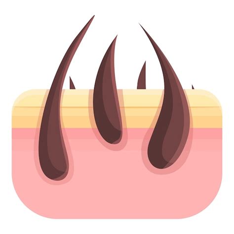 Skóra z włosami do usunięcia ikony Kreskówka przedstawiająca skórę z ...