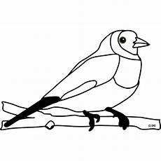 vogel malvorlagen quiz kostenlose malvorlage tiere ausmalbild vogel zum ausmalen vogel malvorlagen quiz kostenlose malvorlage tiere ausmalbild vogel zum ausmalen