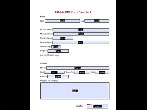 Image result for PDF Form Example