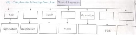 (B) Complete the following flow chart.6th class geography - Brainly.in