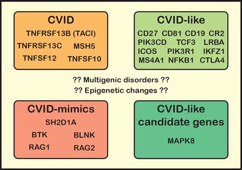The Rapidly Expanding Genetic Spectrum of Common Variable ...
