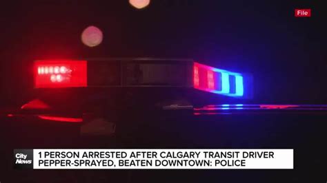 Police Calgary 的图像结果
