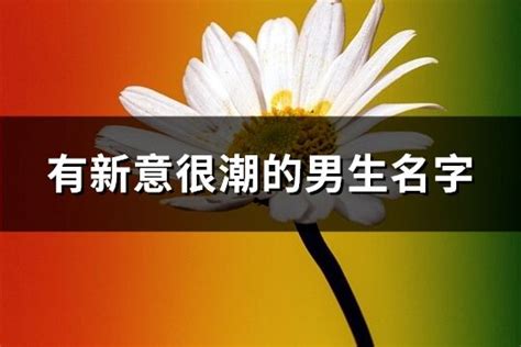 有新意很潮的男生名字(139个)-淘名吧网