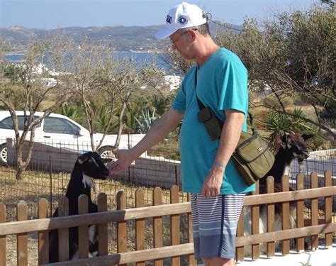 APHRODITE STUDIOS (Milos/Adamas) - Hotel Reviews & Photos - Tripadvisor