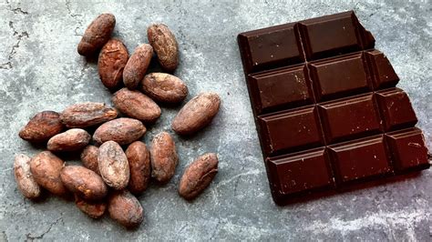 Ingredients In Chocolate — Bean To Bar World