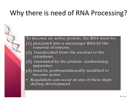 RNA Processing: Post Transcriptional Modifications ,Splicing , Capping ...