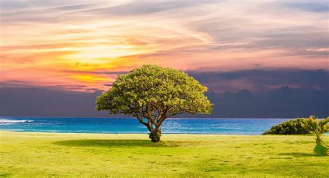 Encode and Decode Tinyurl 的图像结果