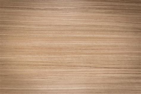 Image result for Beautiful Table CSS CodePen