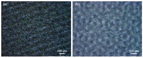 Laser Surface Texturing of Alumina/Zirconia Composite Ceramics for ...