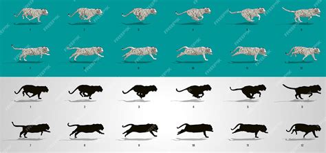 Tiger Walk Cycle Tutorial 的图像结果