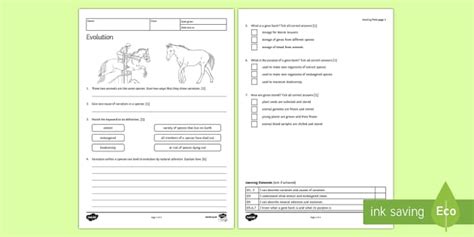 Evolution Homework Worksheet / Worksheet (teacher made)