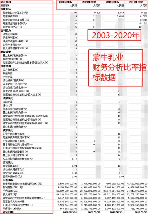 伊利股份会计报表分析 - 范文118