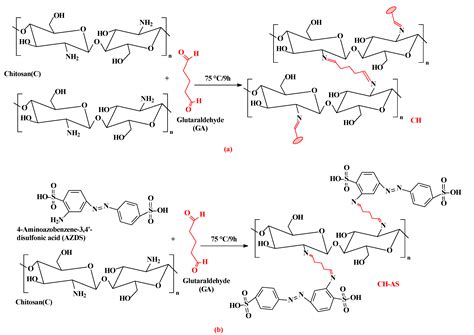 High-Performance Hydrogel Based on Modified Chitosan for Removal of ...