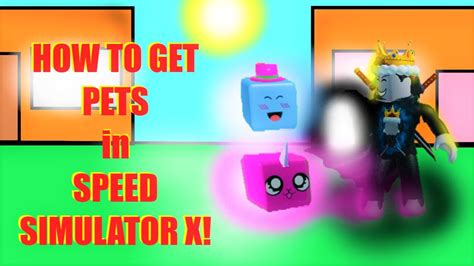 Image result for Speed Simulator Pet Code