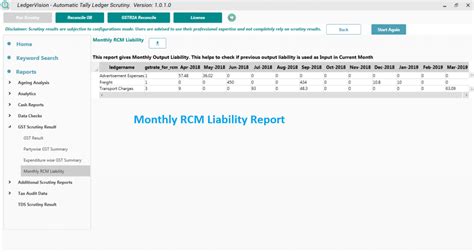 LedgerVision | Automatic Tally Ledger Scrutiny - LedgerVision