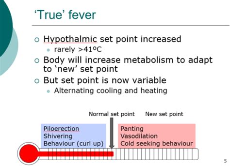 Image result for Pyrexia