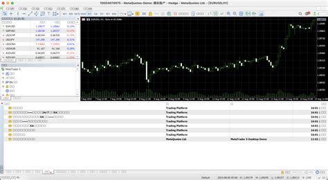 MetaTrader Program 的图像结果