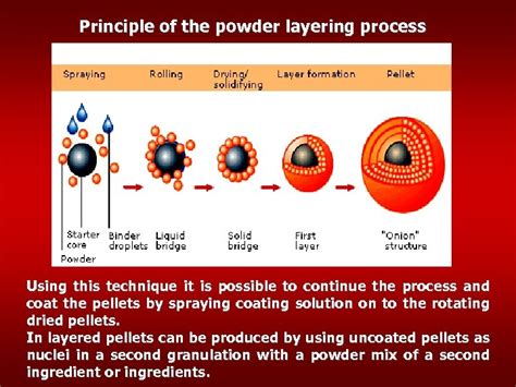 Image result for Granulation Rate Process
