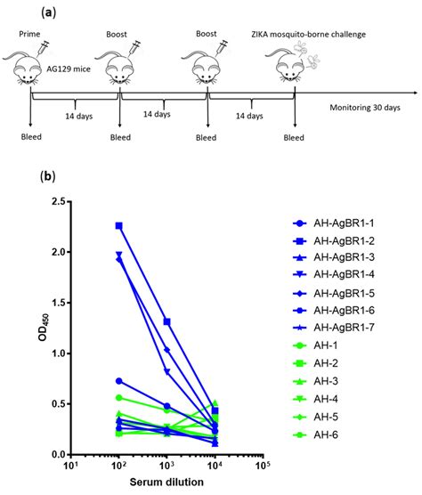Vaccination with Aedes aegypti AgBR1 Delays Lethal Mosquito-Borne Zika ...