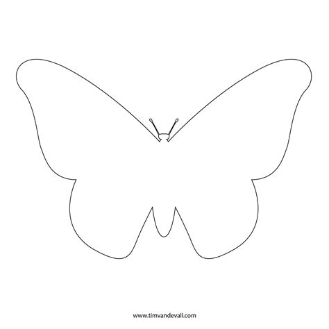 butterfly-template - Tim's Printables