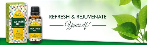Buy Divine India Tea Tree Essential Oil, 15ml Online at Low Prices in ...