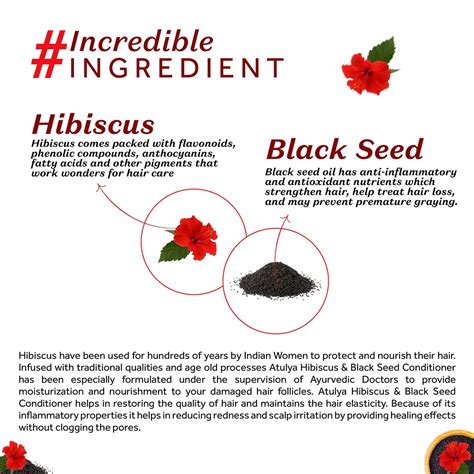 Buy ATULYA HIBISCUS & BLACK SEED HAIR CONDITIONER 300 ML Online & Get ...