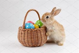 Image result for Bunny with a Egg