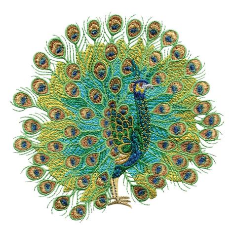 Image result for Simple Peacock Embroidery Patterns