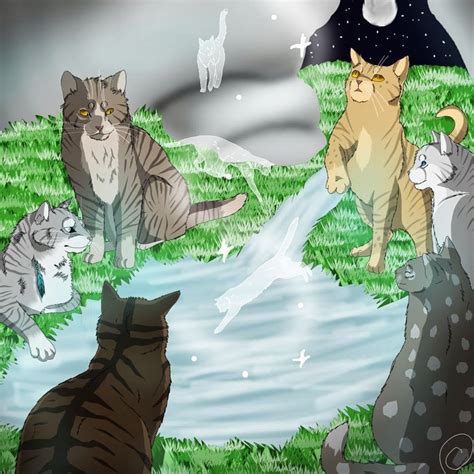 Картинки коты воители солнца (68 фото)