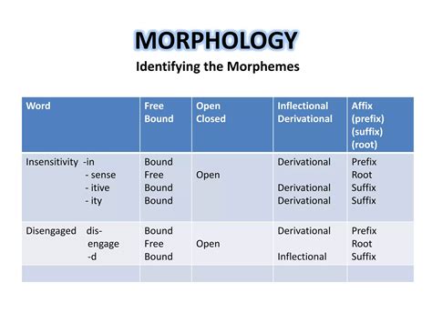 Morphology | PPTX