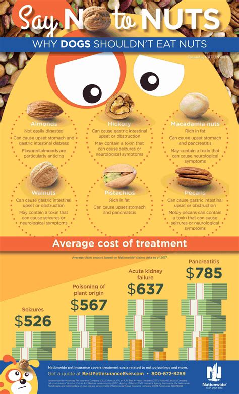 Are Walnuts Hulls Bad For Dogs