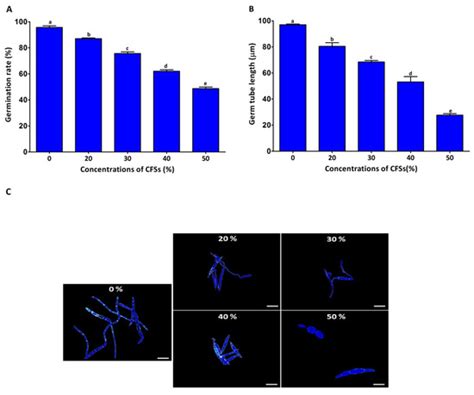 Biocontrol Efficacy of Endophyte Pseudomonas poae to Alleviate Fusarium ...