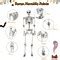 Costway 5.4ft Halloween Skeleton Life Size Realistic Full Body Hanging ...