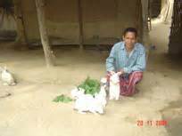 Krishi Vigyan Kendra, West Garo Hills District, Meghalaya - Farmers ...