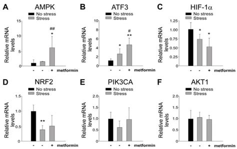 The Role of Activating Transcription Factor 3 in Metformin’s ...